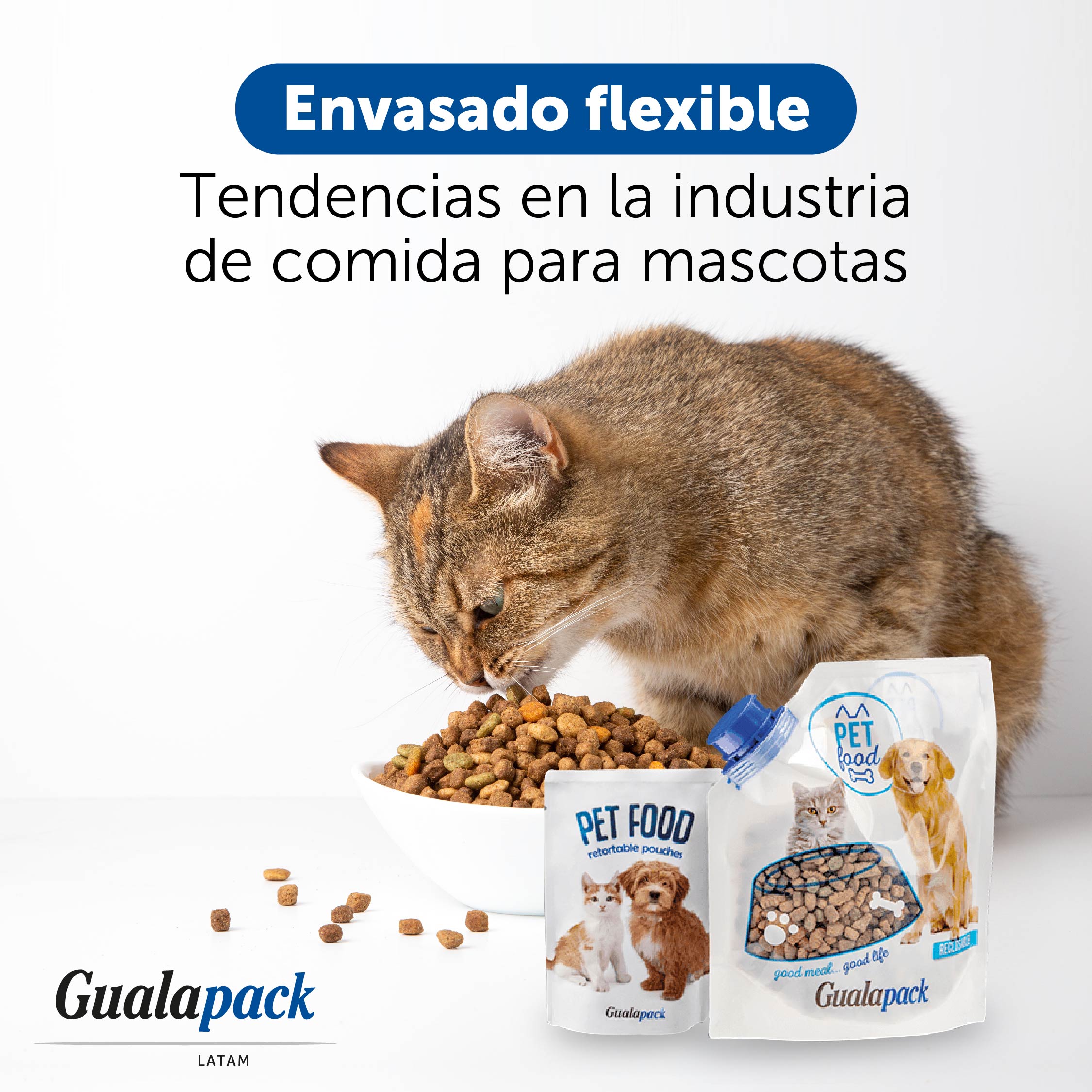 Gualapack_Post_Mayo_Pouch de Mascotas